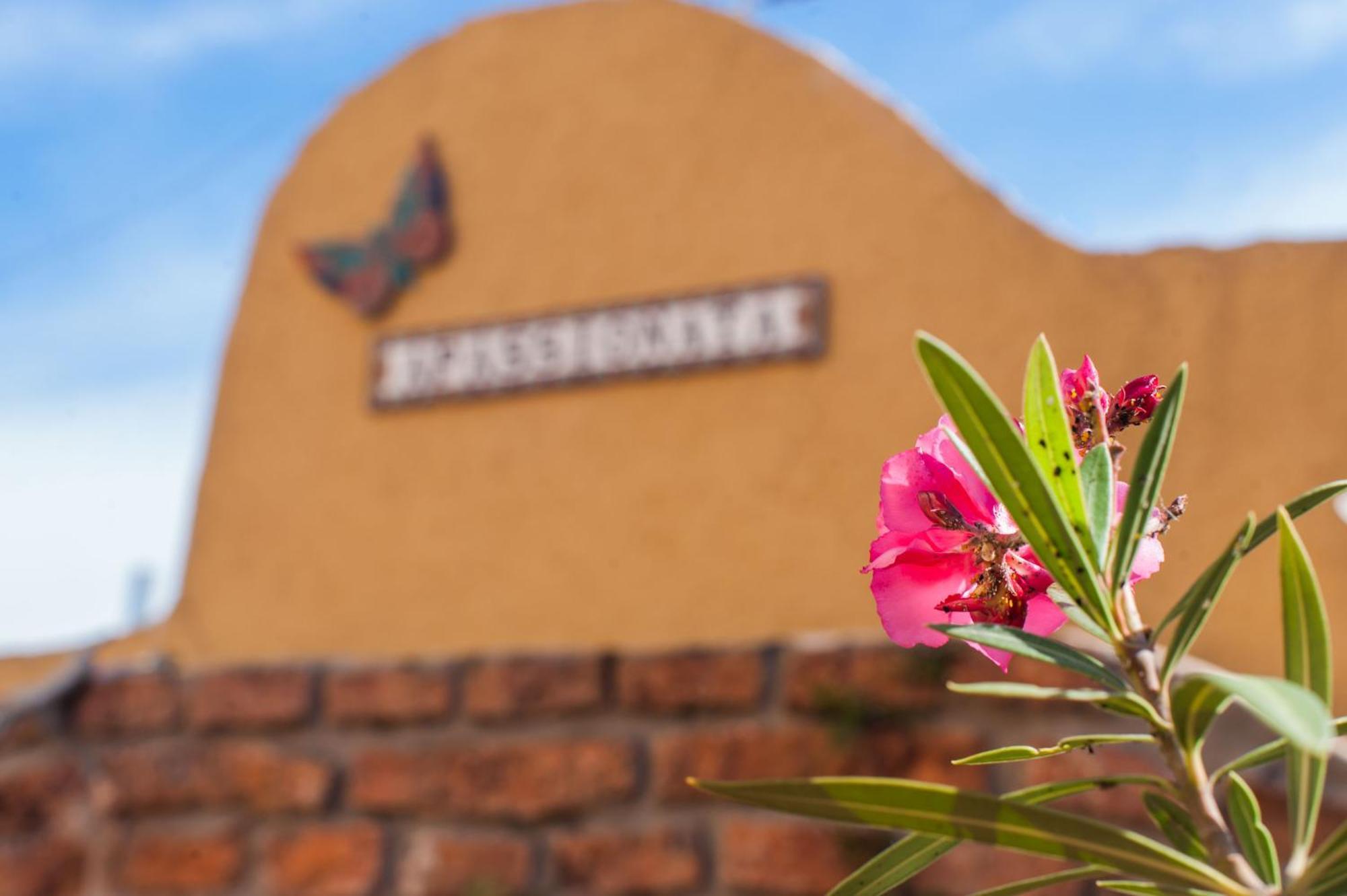 Apassionata Tango Hotel บัวโนสไอเรส ภายนอก รูปภาพ