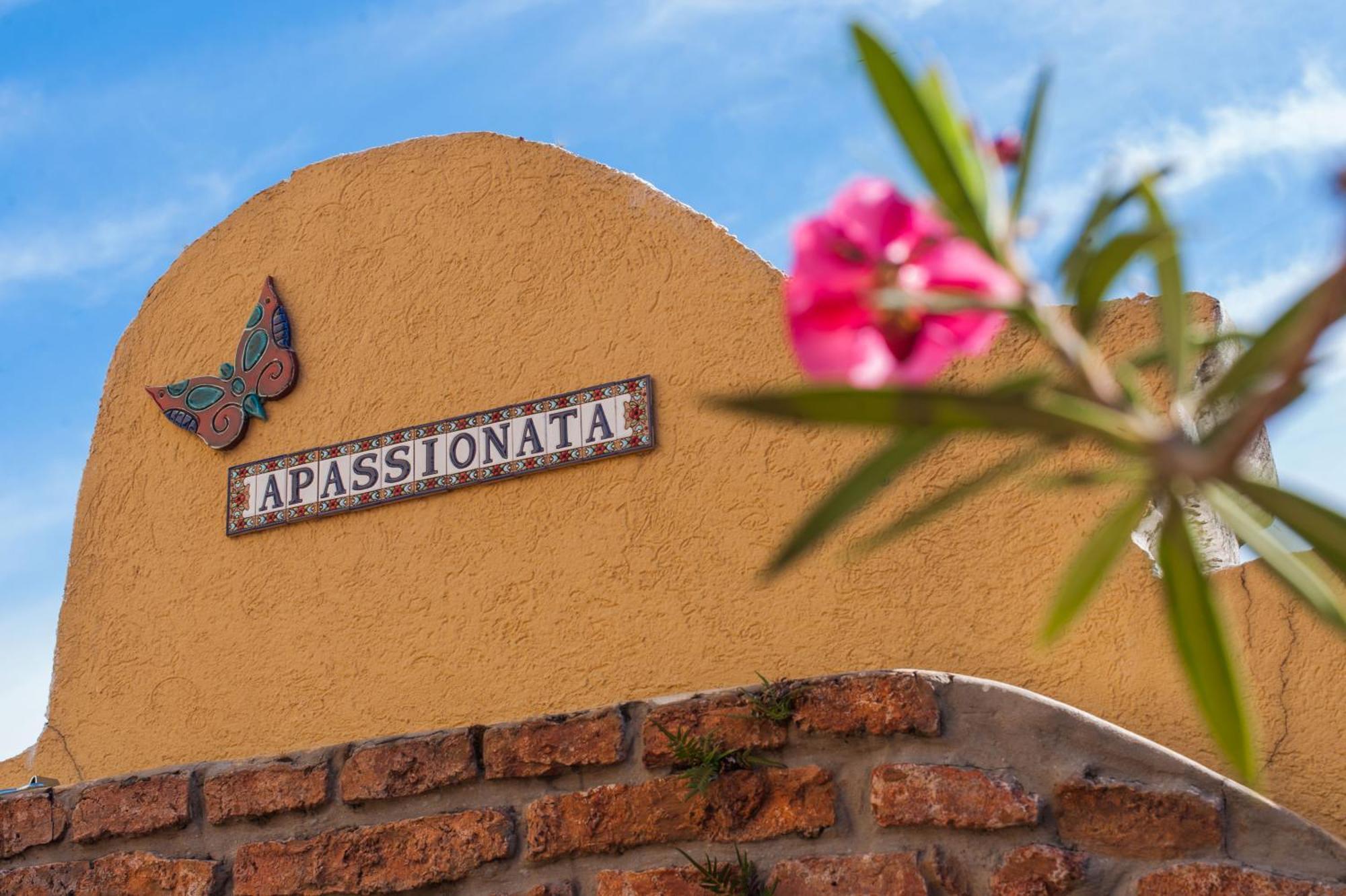 Apassionata Tango Hotel บัวโนสไอเรส ภายนอก รูปภาพ